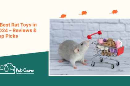 5 Best Rat Toys in 2024 – Reviews & Top Picks