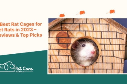 9 Best Rat Cages for Pet Rats in 2023 – Reviews & Top Picks