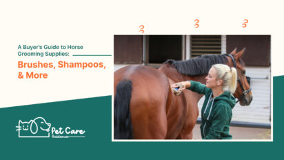 A Buyer’S Guide to Horse Grooming Supplies: Brushes, Shampoos, And More