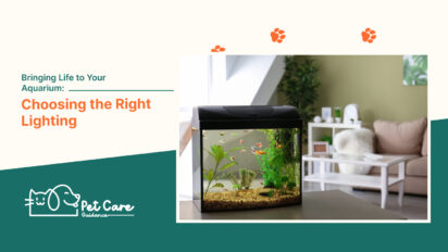 Bringing Life to Your Aquarium Choosing the Right Lighting