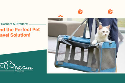 Cat Carriers & Strollers Find the Perfect Pet Travel Solution