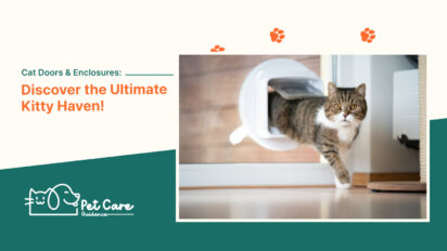 Cat Doors & Enclosures Discover the Ultimate Kitty Haven!