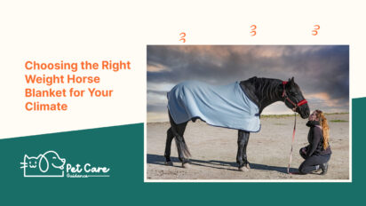 Choosing the Right Weight Horse Blanket for Your Climate