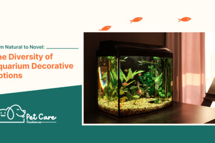 From Natural to Novel The Diversity of Aquarium Decorative Options