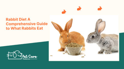 Rabbit Diet A Comprehensive Guide to What Rabbits Eat