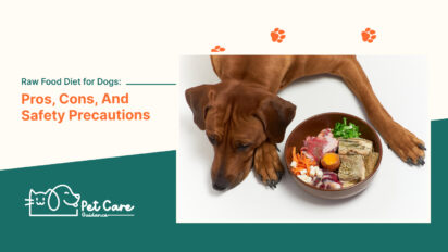 Raw Food Diet for Dogs Pros, Cons, And Safety Precautions