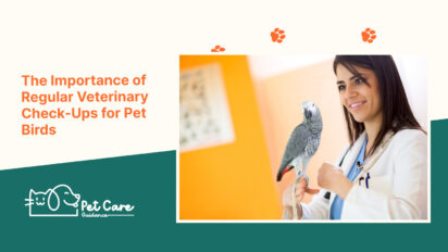 The Importance of Regular Veterinary Check Ups for Pet Birds