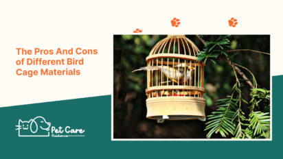 The Pros And Cons of Different Bird Cage Materials