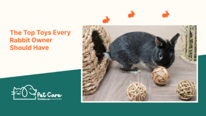 The Top Toys Every Rabbit Owner Should Have