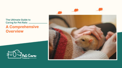 The Ultimate Guide to Caring for Pet Rats A Comprehensive Overview