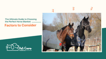 The Ultimate Guide to Choosing the Perfect Horse Blanket Factors to Consider