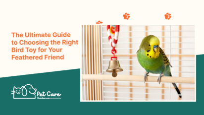 The Ultimate Guide to Choosing the Right Bird Toy for Your Feathered Friend