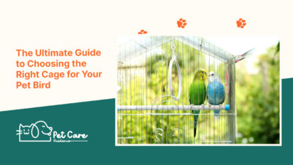 The Ultimate Guide to Choosing the Right Cage for Your Pet Bird
