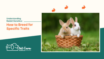 Understanding Rabbit Genetics: How to Breed for Specific Traits