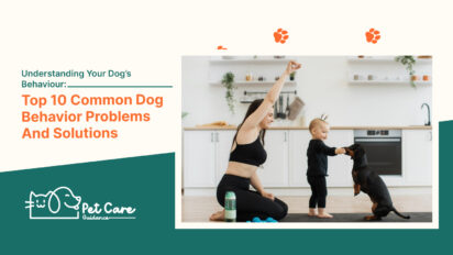 Understanding Your Dog’S Behaviour Top 10 Common Dog Behavior Problems And Solutions